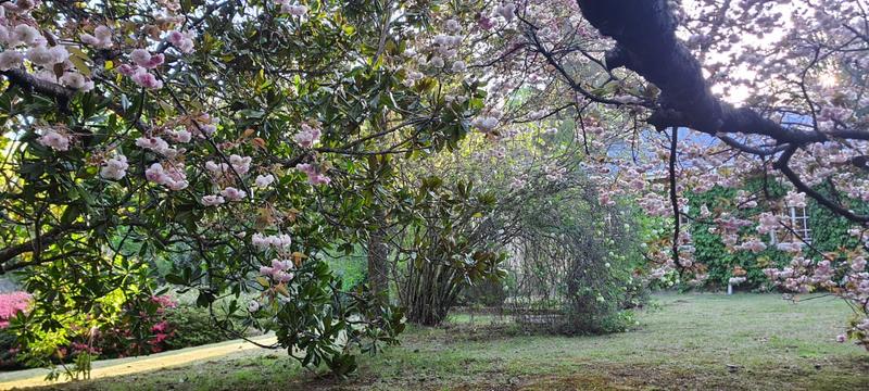 3 Bedroom Property for Sale in Hogsback Eastern Cape